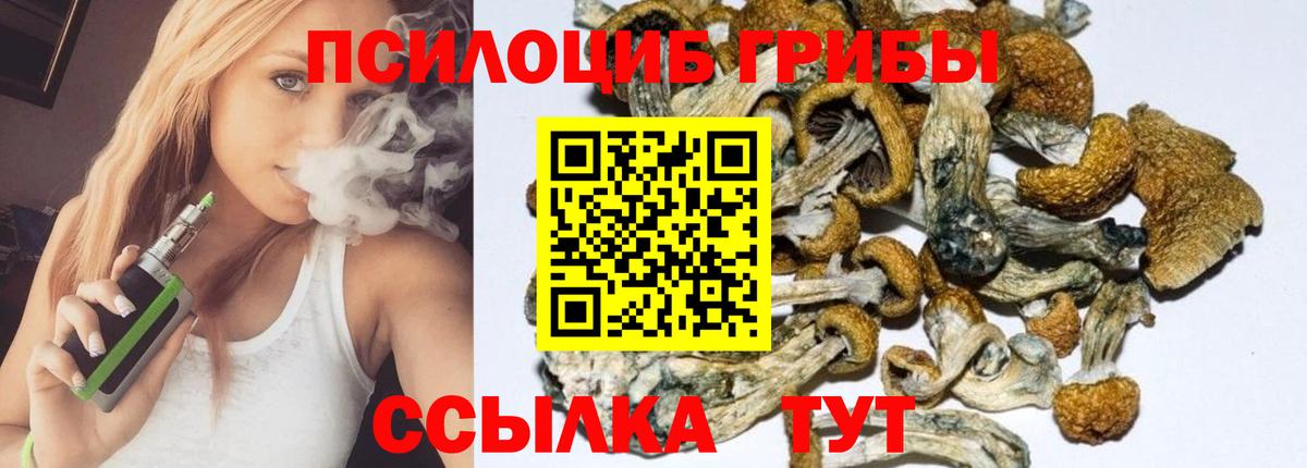 Галлюциногенные грибы прущие грибы  Галлюциногенные грибы прущие грибы  Вход с VPN  Димитровград 